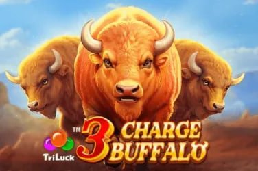 Live casino table games streamed in real time